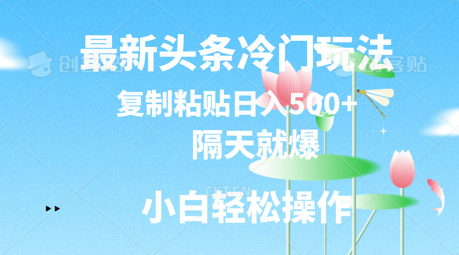 最新头条冷门玩法，隔天就爆，复制粘贴日入500+-创业项目网