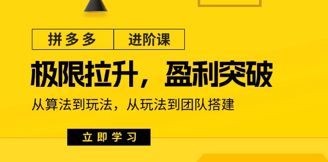 拼多多进阶课：极限拉升/盈利突破：从算法到玩法 从玩法到团队搭建-18节-创业项目网