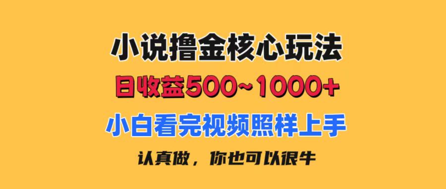 小说撸金核心玩法，日收益500-1000+，小白看完照样上手，0成本有手就行-创业项目网