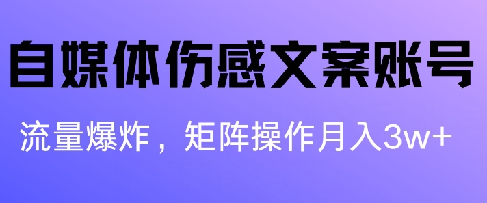 自媒体伤感文案账号，制作简单，流量爆炸账号很容易复制，矩阵月入1W+-创业项目网