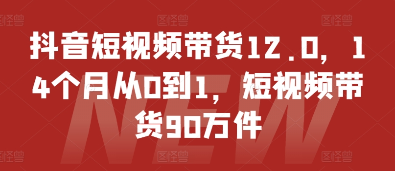 抖音短视频带货12.0，14个月从0到1，短视频带货90万件-创业项目网