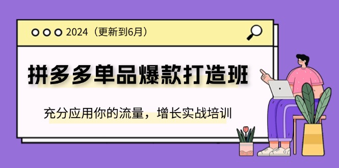 2024拼多多单品爆款打造班(更新6月)，充分应用你的流量，增长实战培训-创业项目网