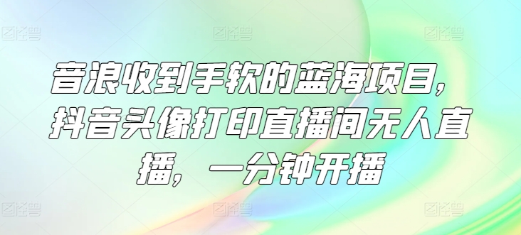 音浪收到手软的蓝海项目，抖音头像打印直播间无人直播，一分钟开播-创业项目网