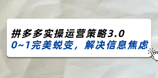 2024_2025拼多多实操运营策略3.0，0~1完美蜕变，解决信息焦虑（38节）-创业项目网