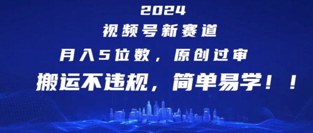 2024视频号新赛道，月入5位数+，原创过审，搬运不违规，简单易学-创业项目网