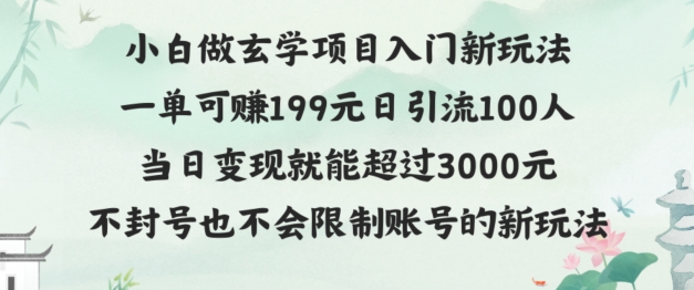 玄学项目入门新玩法，一单可赚199元，日变现200+，不封号不违规-创业项目网