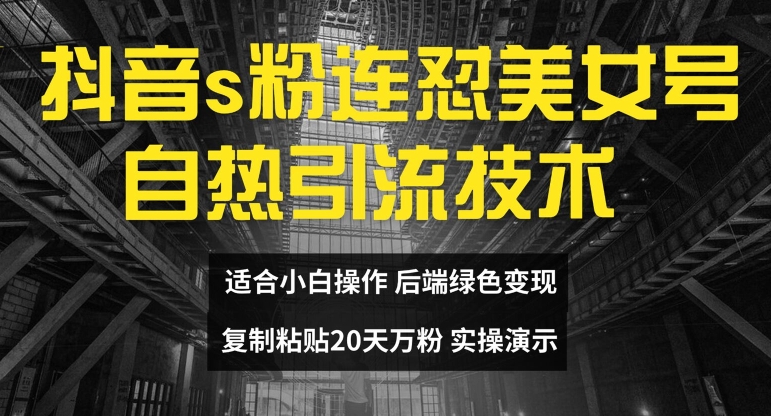 抖音s粉连怼美女号自热引流技术复制粘贴，20天万粉账号，无需实名制，矩阵操作-创业项目网