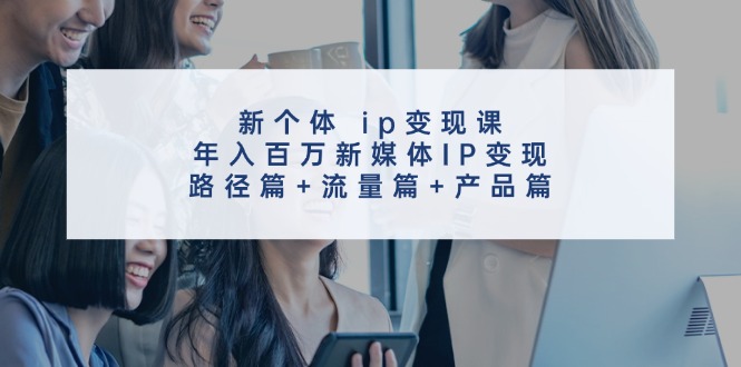 新个体 ip变现课，年入百万新媒体IP变现，路径篇+流量篇+产品篇-创业项目网