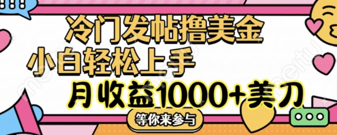 冷门发帖撸美金项目，月收益1000+美金，简单无脑，干就完了-创业项目网