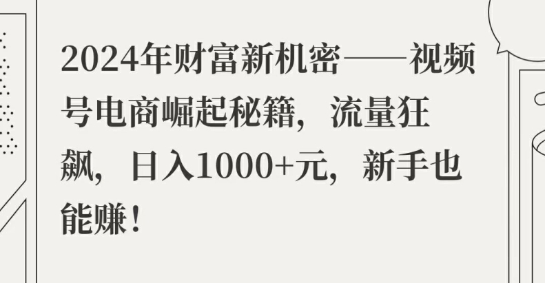 2024年财富新机密——视频号电商崛起秘籍，流量狂飙，日入1k元，新手也能赚-创业项目网