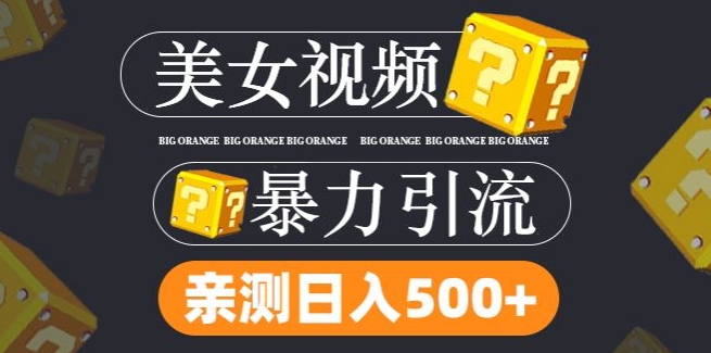 搬运tk美女视频全网分发，日引s粉300+，轻松变现，不限流量不封号-创业项目网