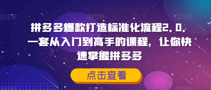 拼多多爆款打造标准化流程2.0，一套从入门到高手的课程，让你快速掌握拼多多-创业项目网