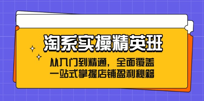 淘系实操精英班：从入门到精通，全面覆盖，一站式掌握店铺盈利秘籍-创业项目网