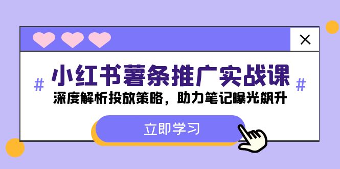 小红书薯条推广实战课：深度解析投放策略，助力笔记曝光飙升-创业项目网