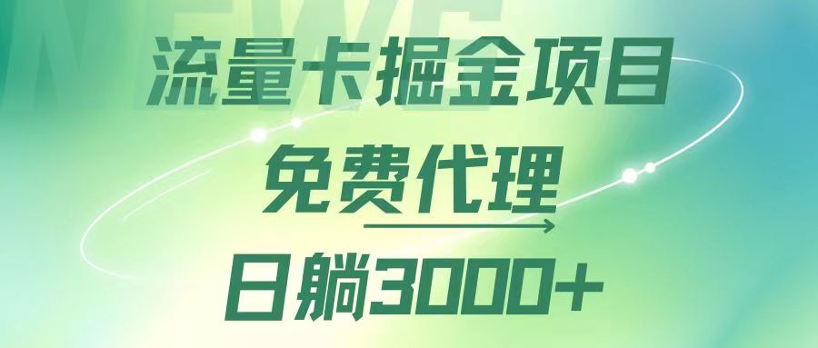 流量卡掘金代理，日躺赚3000+，变现暴力，多种推广途径-创业项目网