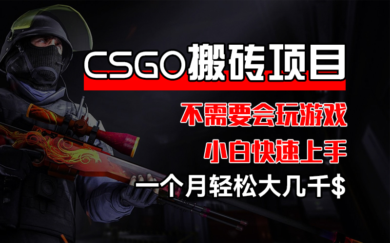 CSGO 装备搬砖项目，操作简单，不需要会玩游戏，小白也能快速上手，一个月轻松大几千美元-创业项目网