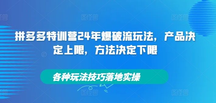 拼多多特训营24年爆破流玩法，产品决定上限，方法决定下限，各种玩法技巧落地实操-创业项目网