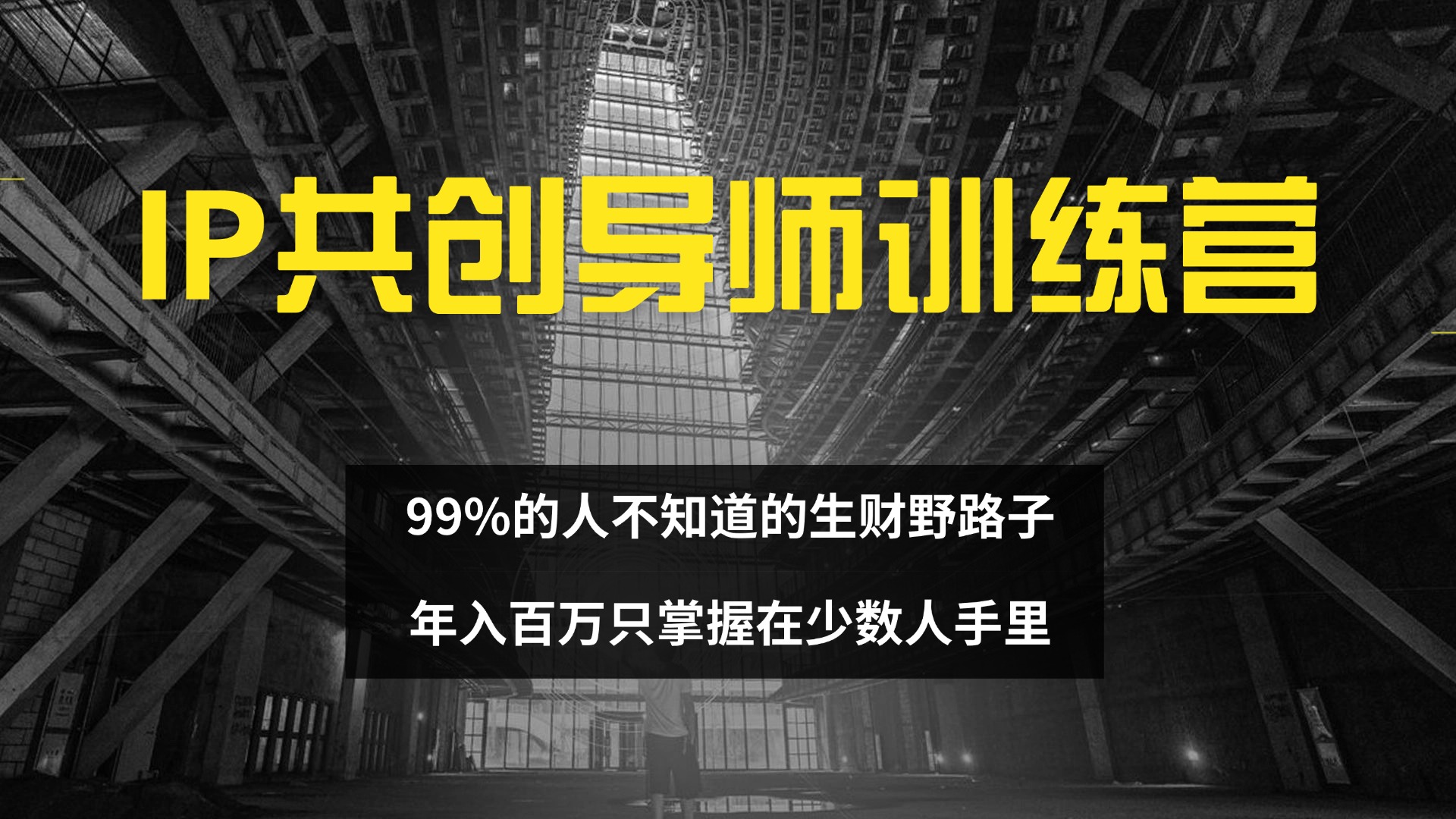 IP共创导师训练营 99%的人不知道的生财野路子 只掌握在少数人手里-创业项目网