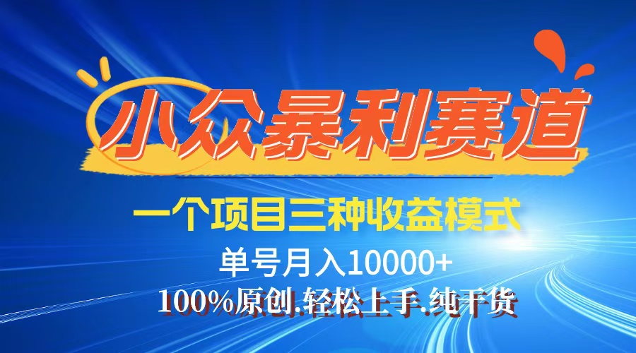 【老人言】-视频号爆火赛道，三种变现方式，0粉新号条条爆款-创业项目网