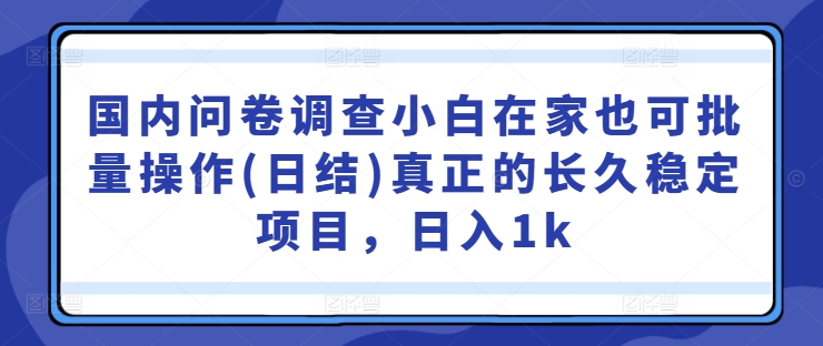 国内问卷调查，小白在家也可批量操作(日结)，真正的长久稳定项目，日入1k-创业项目网