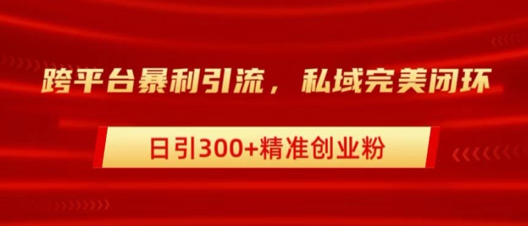 跨平台暴力引流，私域完美闭环，日引100+精准创业粉-创业项目网