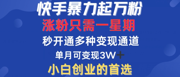 快手暴力起万粉，涨粉只需一星期，多种变现模式，直接秒开万合，单月变现过W-创业项目网