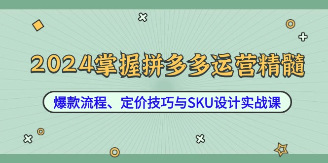 2024掌握拼多多运营精髓：爆款流程、定价技巧与SKU设计实战课-创业项目网