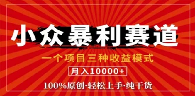 视频号最新爆火赛道，三种可收益模式，0粉新号条条原创条条热门 日入1000+-创业项目网