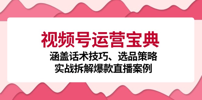 视频号运营宝典：涵盖话术技巧、选品策略、实战拆解爆款直播案例-创业项目网