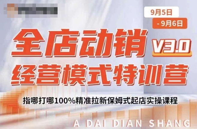 全店动销经营模式特训营，指哪打哪100%精准拉新保姆式起店实操课程-创业项目网