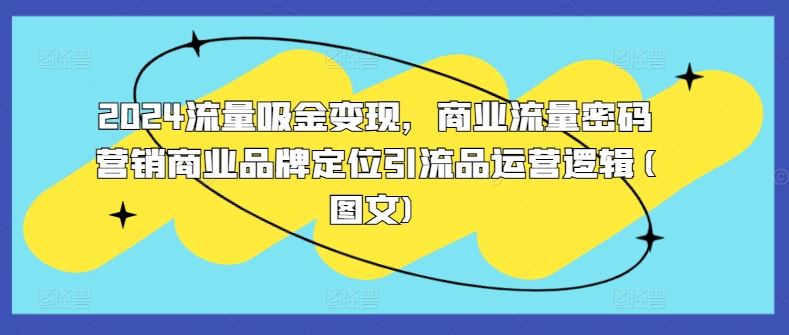 2024流量吸金变现，商业流量密码营销商业品牌定位引流品运营逻辑(图文)-创业项目网