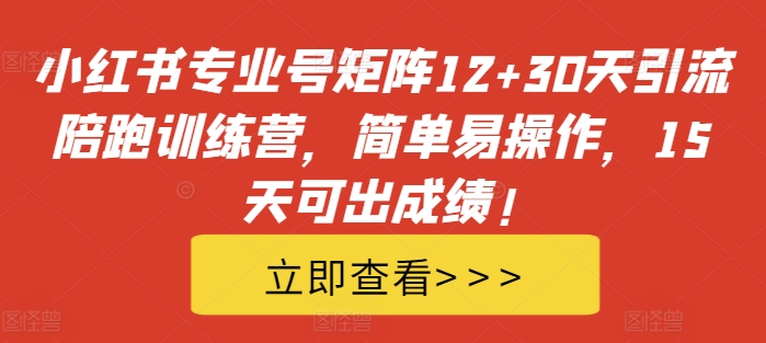 小红书专业号矩阵12+30天引流陪跑训练营，简单易操作，15天可出成绩!-创业项目网