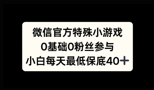 微信官方特定小游戏，0基础0粉丝，小白上手每天最少保底40+-创业项目网