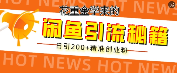 花重金学来的闲鱼到流秘籍，日引200+精准创业粉-创业项目网