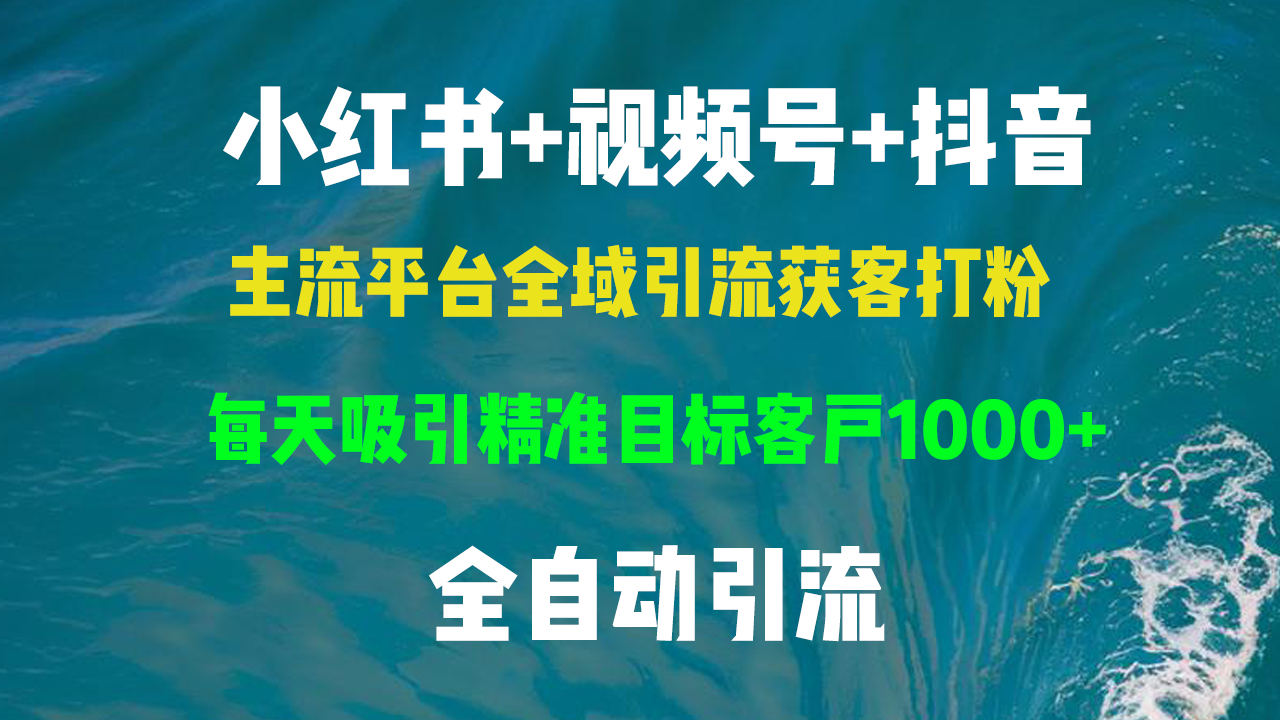 小红书，视频号，抖音主流平台全域引流获客打粉，每天吸引精准目标客户1000+-创业项目网