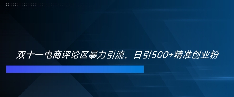 双十一电商评论区暴力引流，日引500+精准创业粉-创业项目网