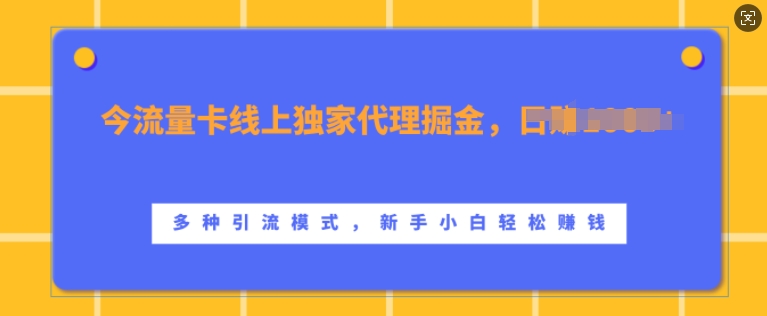 流量卡线上独家代理掘金，日入1k+ ，多种引流模式，新手小白轻松上手-创业项目网