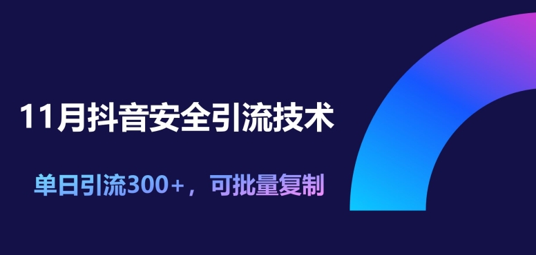 11月抖音安全引流技术，单日引流300+，可批量复制-创业项目网