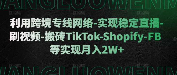 利用跨境专线网络-实现稳定直播-刷视频-搬砖TikTok-Shopify-FB等实现月入2W+-创业项目网