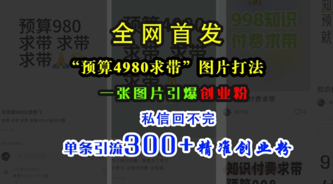 小红书“预算4980带我飞”图片打法，一张图片引爆创业粉，私信回不完，单条引流300+精准创业粉-创业项目网