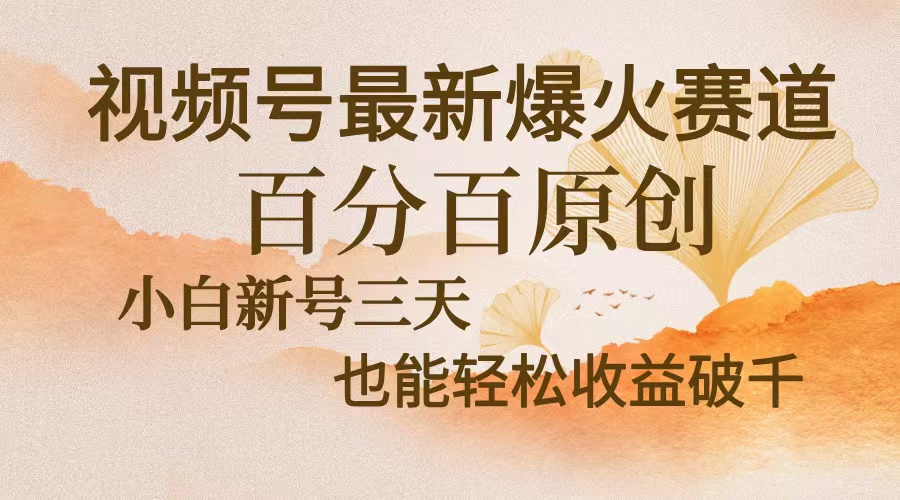 视频号最新爆火赛道，中老年粉深信不疑，百分百原创，新号三天收益轻松破千-创业项目网