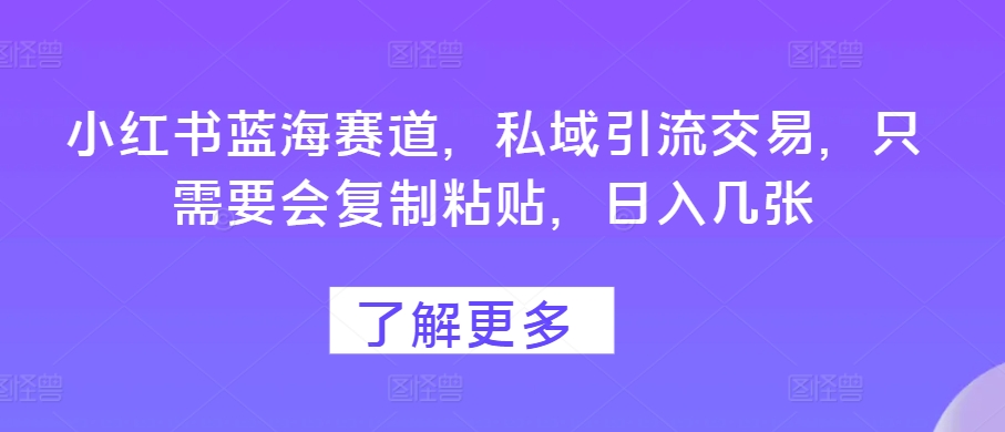 小红书蓝海赛道，私域引流交易，只需要会复制粘贴，日入几张-创业项目网