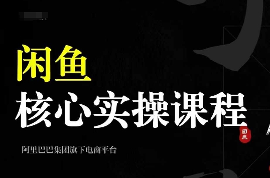 2024闲鱼核心实操课程，从养号、选品、发布、销售，教你做一个出单的闲鱼号-创业项目网