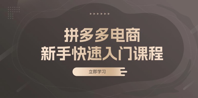 拼多多电商新手快速入门课程：涵盖基础、实战与选款，助力小白轻松上手-创业项目网