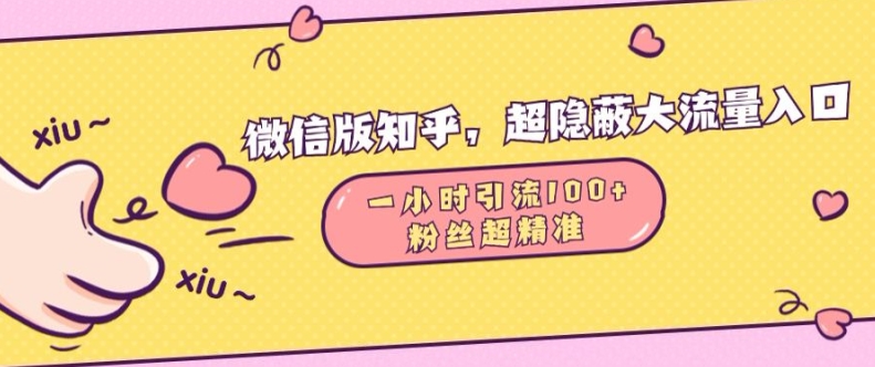 微信版知乎，超隐蔽流量入口1小时引流100人，粉丝质量超高-创业项目网