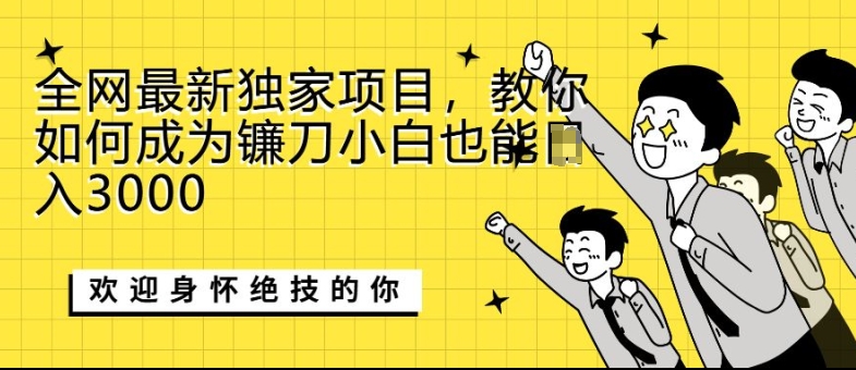 全网最新独家项目，教你如何成为镰刀小白也能日入上K-创业项目网