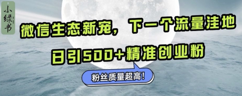 微信生态新宠小绿书：下一个流量洼地，日引500+精准创业粉，粉丝质量超高-创业项目网