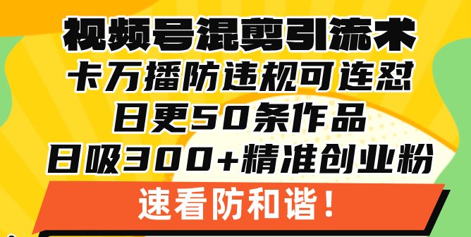 视频号混剪引流技术，500万播放引流17000创业粉，操作简单当天学会-创业项目网