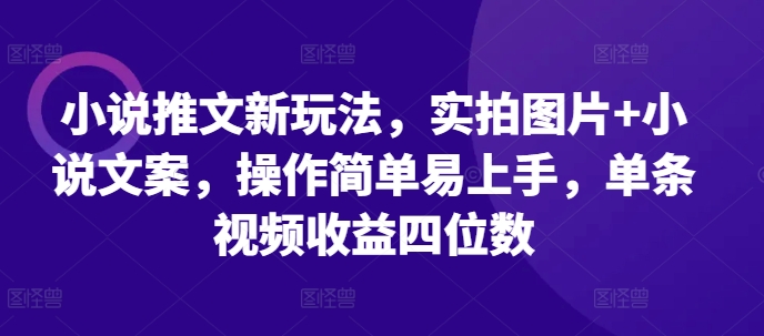 小说推文新玩法，实拍图片+小说文案，操作简单易上手，单条视频收益四位数-创业项目网