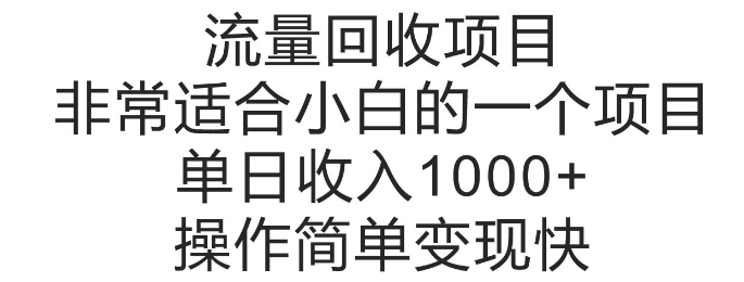 流量回收项目，非常适合小白的一个项目单日收入多张，操作简单变现快-创业项目网